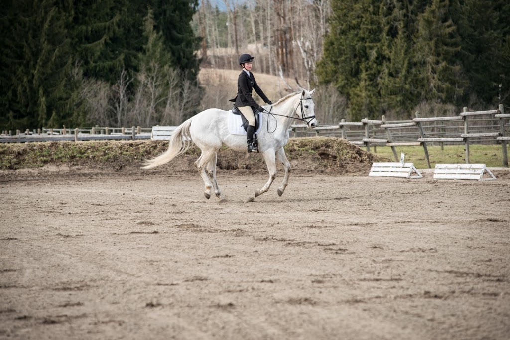 Woodcreek Equestrian | 561 60 St SE, Salmon Arm, BC V1E 1W4, Canada | Phone: (250) 253-1416