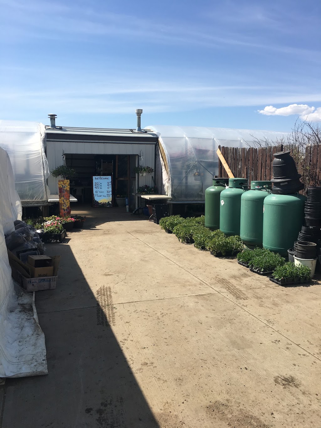 Leslies Greenhouse | 23411, Vista Rd, AB T0A 0K5, Canada | Phone: (780) 239-7993