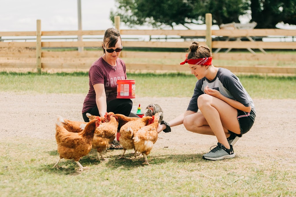 White Barn Fun Farm | Range Rd 154, Duchess, AB T0J 0Z0, Canada | Phone: (403) 501-3907