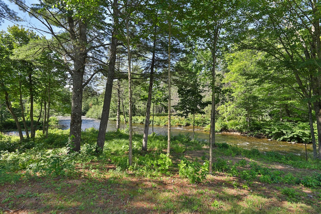 Forêt de la Seconde Vie | 835 Chemin de lAchigan E, Sainte-Sophie, QC J5J 2P9, Canada | Phone: (438) 500-6288