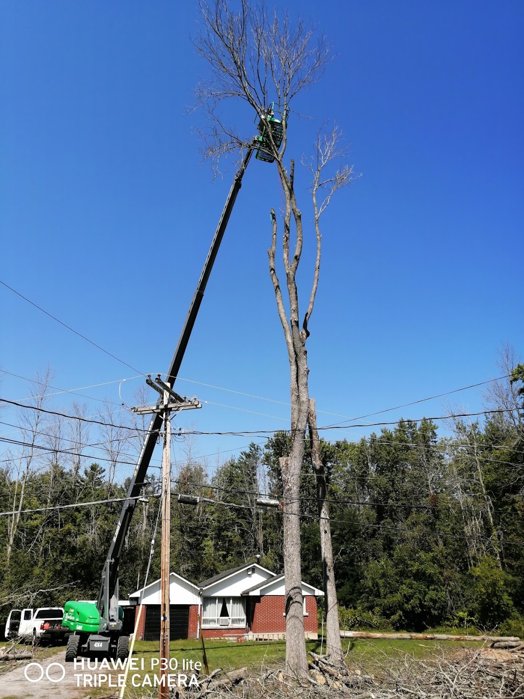 Rons tree service | 1700 Chatham Rd, Fort Erie, ON L2A 5M4, Canada | Phone: (289) 213-6186