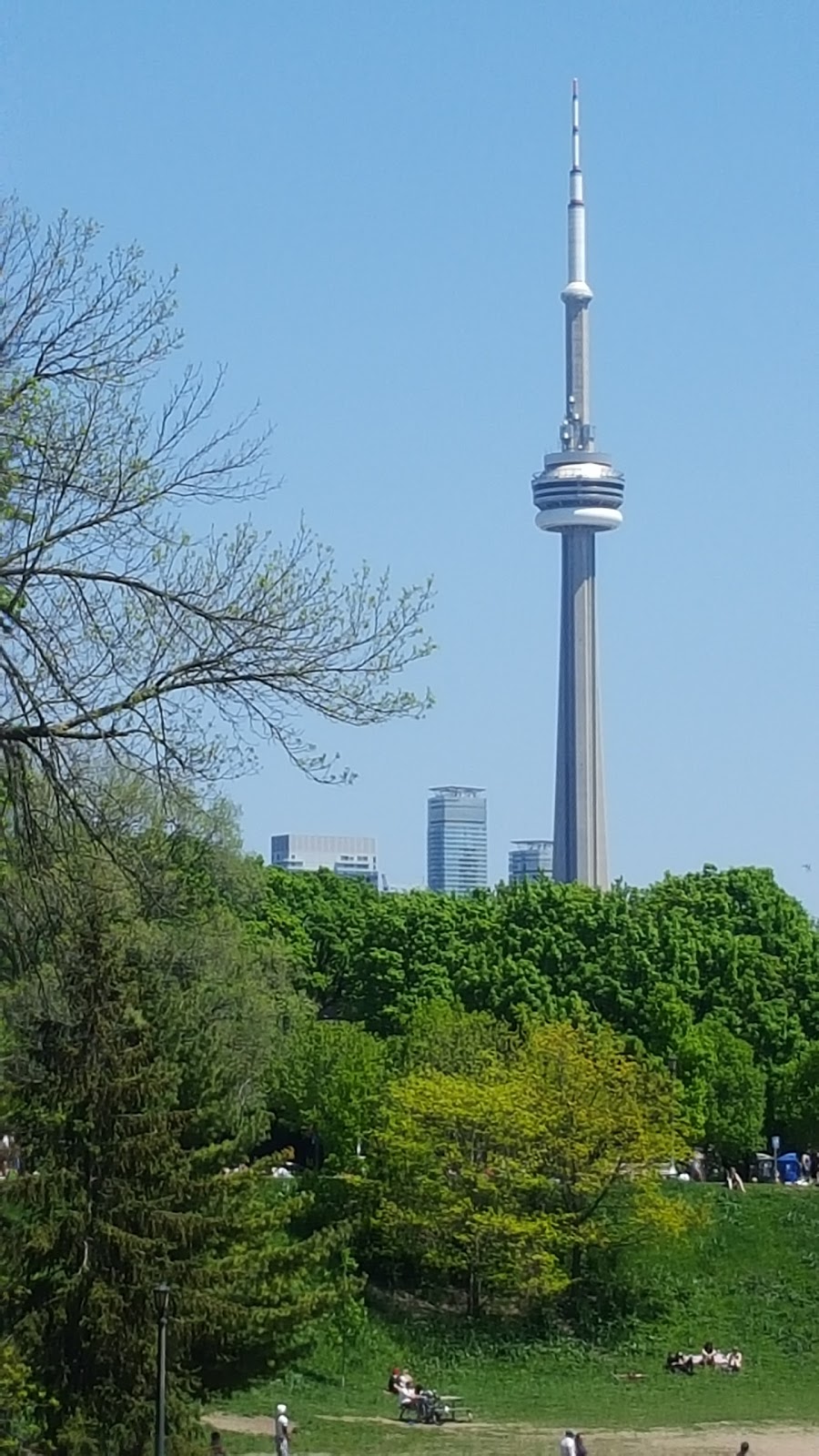Trinity Bellwoods Park | 790 Queen St W, Toronto, ON M6J 1G3, Canada