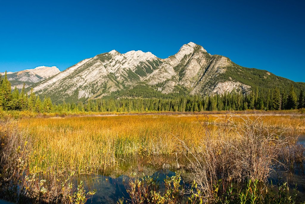 Cave and Basin National Historic Site | 311 Cave Ave, Banff, AB T1L 1K2, Canada | Phone: (403) 762-1566