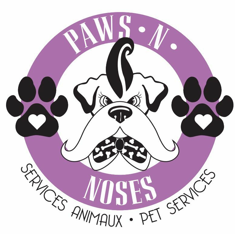 Paws N Noses | 70 Waterloo St, Moncton, NB E1C 1A8, Canada | Phone: (506) 830-7297