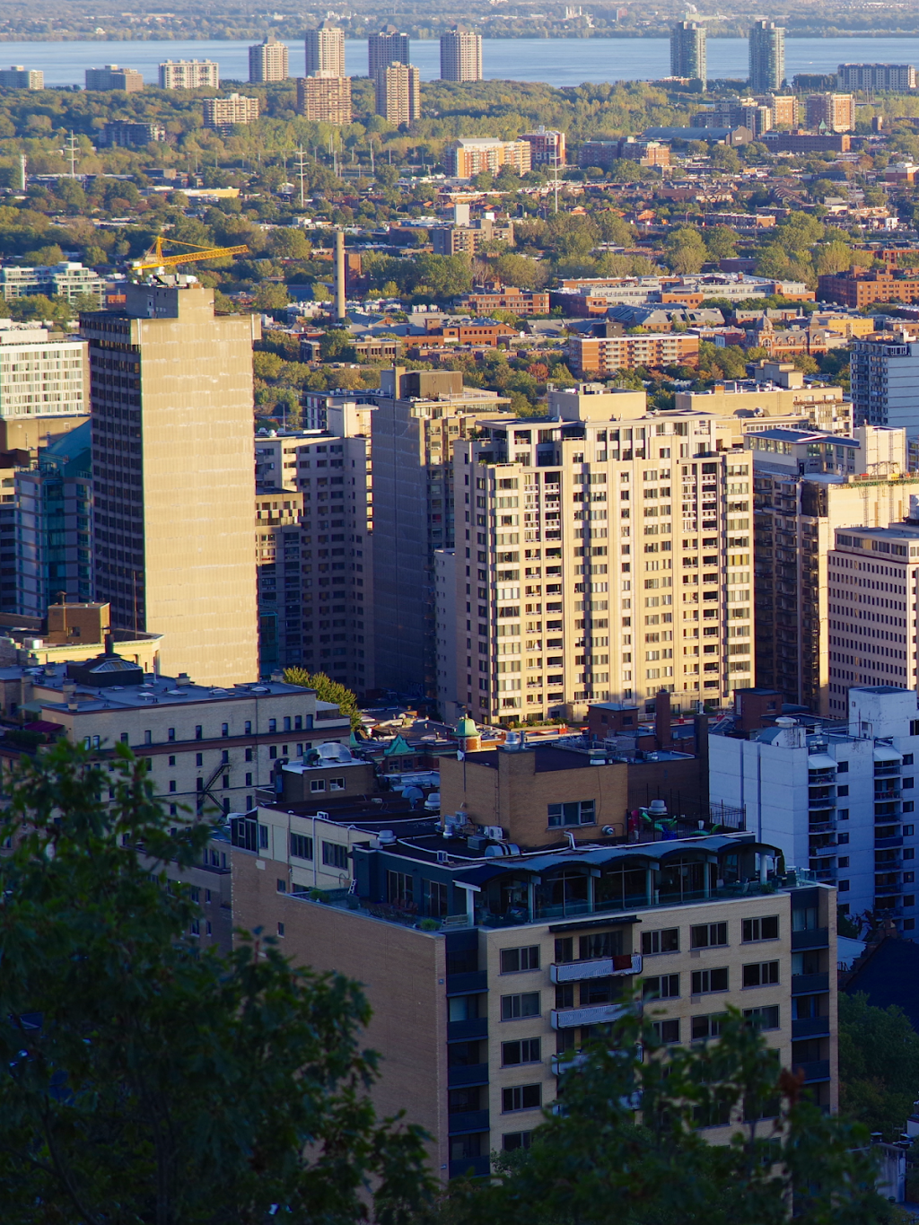 Apartments Tour Des Pins | 1400 Av. des Pins, Montréal, QC H3G 1B1, Canada | Phone: (514) 842-8041