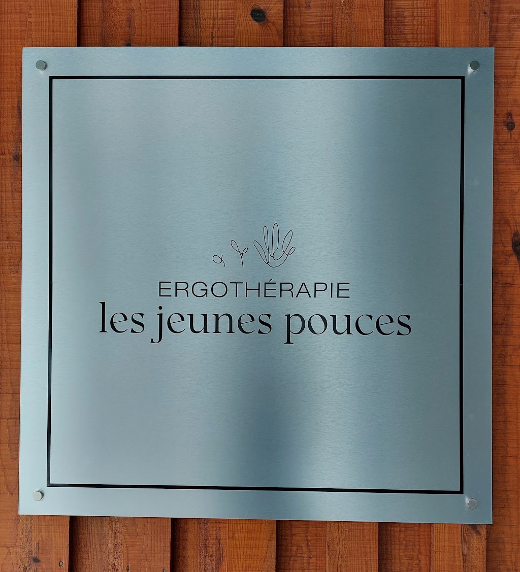 Ergothérapie les jeunes pouces | Rte De La Pointe, Chambord, QC G0W 1G0, Canada | Phone: (581) 230-4422