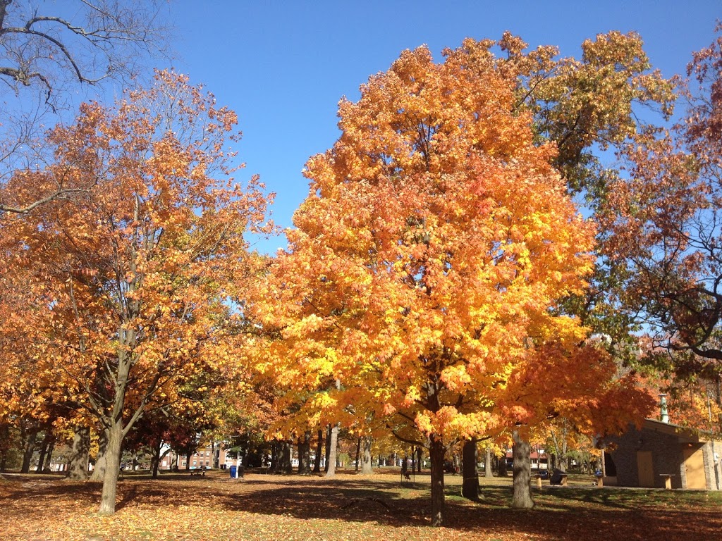 High Park Wading Pool, Splashpad and Playground | 8 Wendigo Way, Toronto, ON M6S 2T9, Canada | Phone: (416) 338-4386