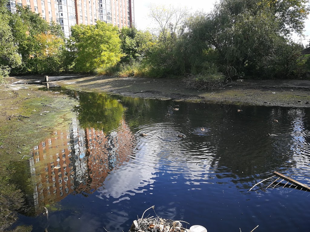 The Duck Pond | 2710 Saratoga Pl, Gloucester, ON K1T 1Z2, Canada