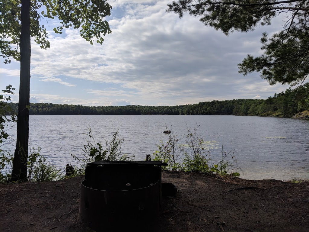 Frontenac Provincial Park Site 2 | South Frontenac, ON K0H 2T0, Canada