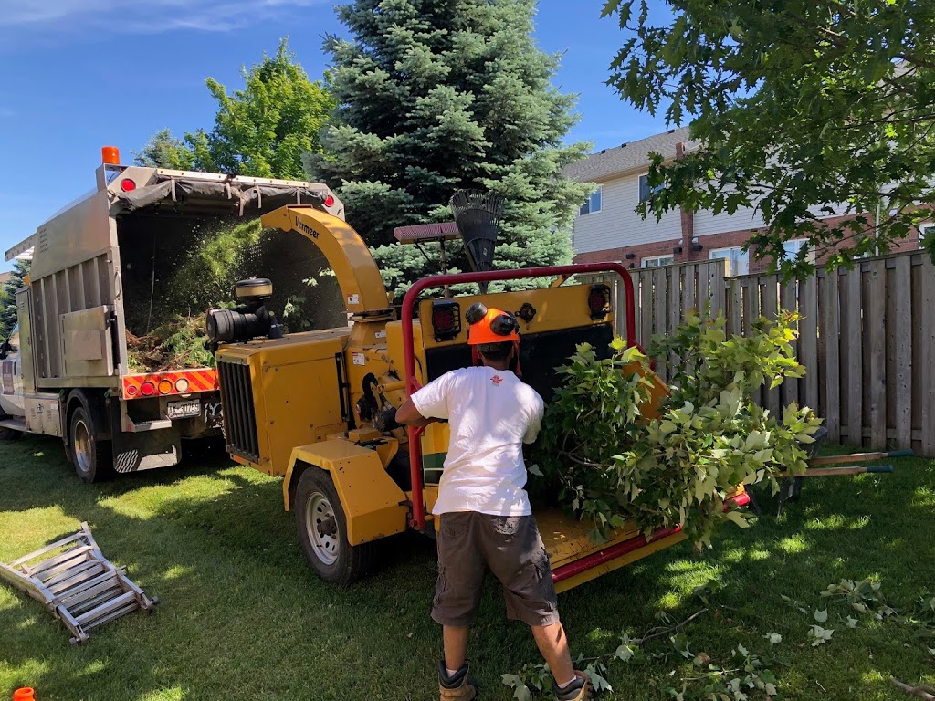 Amir Tree Services Inc. | 17 Baker Rd S, Grimsby, ON L3M 2W4, Canada | Phone: (647) 780-5234