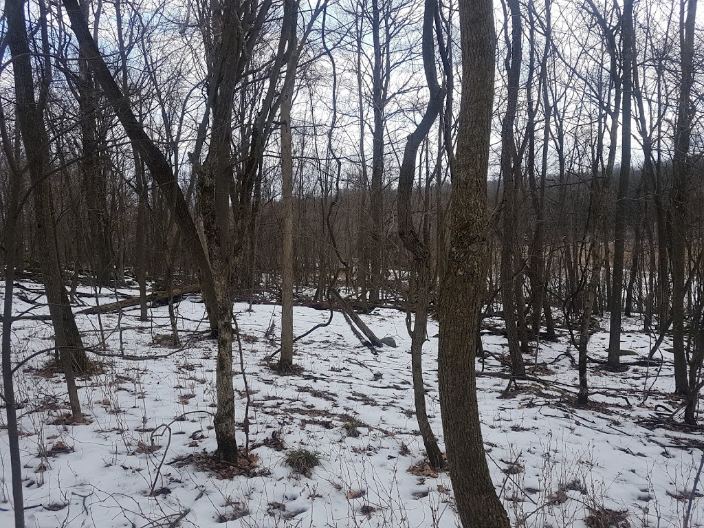 Bird Sanctuary Parking | Unnamed Road, Saint-Armand, QC J0J 1T0, Canada