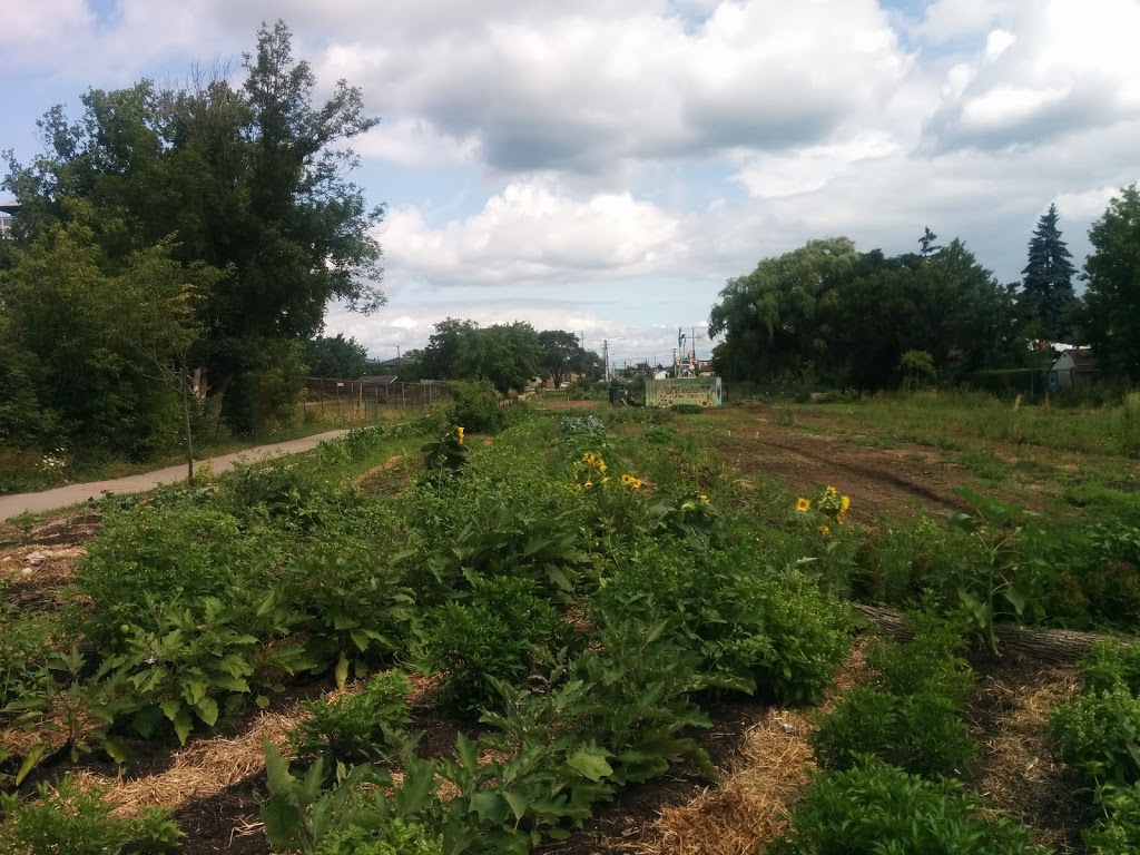 McQuesten Urban Farm | 785 Britannia Ave, Hamilton, ON L8H 6P7, Canada