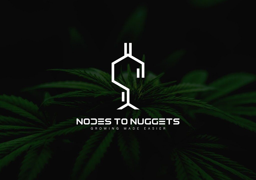 Nodes To Nuggets | 31 Raleigh St, Hamilton, ON L8W 1H4, Canada | Phone: (905) 379-7522