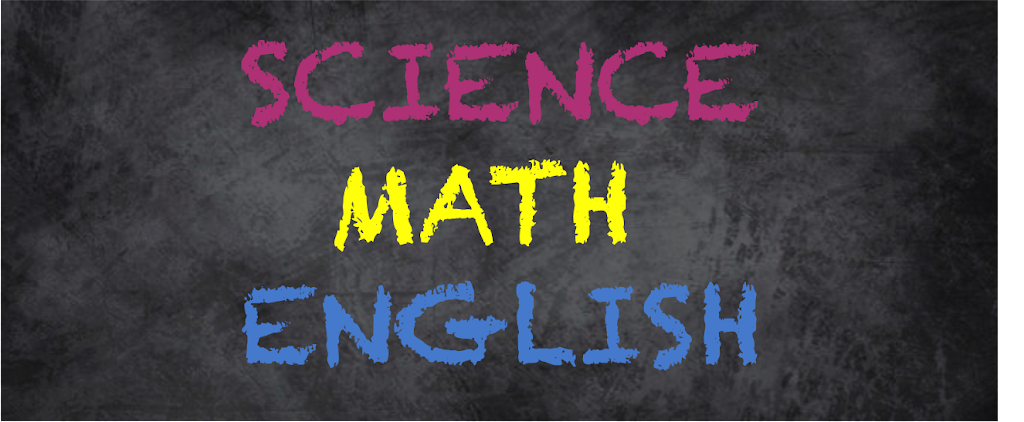 Brilliant Minds Tutoring | 44 James Ratcliff Ave, Whitchurch-Stouffville, ON L4A 1P3, Canada | Phone: (416) 899-4163