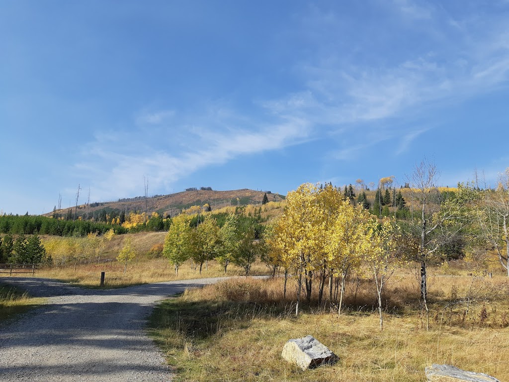 Lynx Creek Campground | Carbondale River Rd, Hillcrest Mines, AB T0K 1C0, Canada | Phone: (403) 627-1165