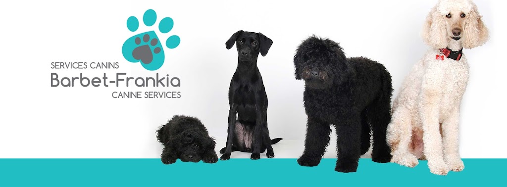 Services canins Barbet-Frankia Canine Services | 50 Rue des Lilas, LÎle-Perrot, QC J7V 8S6, Canada | Phone: (514) 604-5191