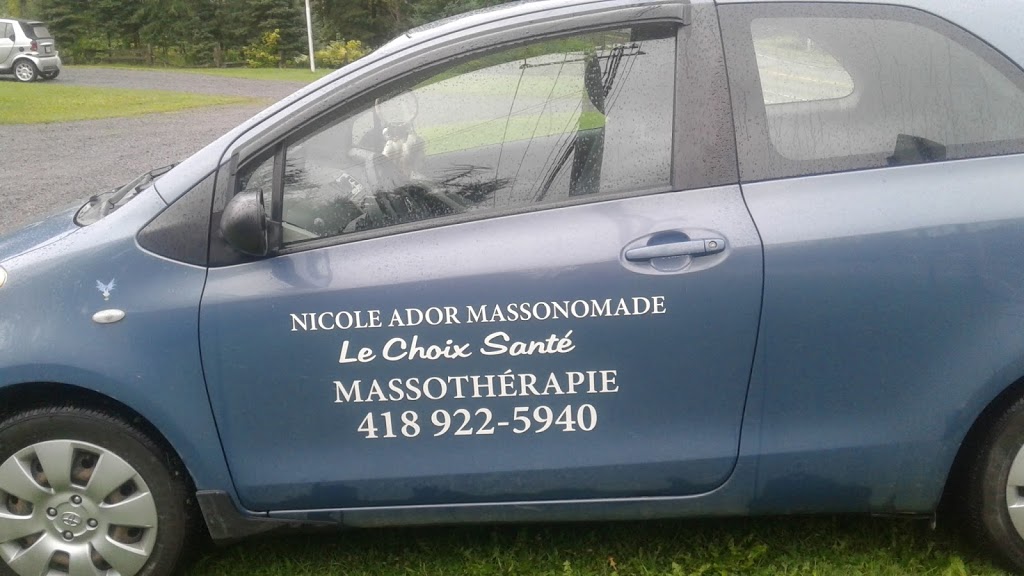 Nicole Ador Massonomade-Massothérapie holistique -Déplacement a  | 172 Avenue Ste Brigitte, Sainte-Brigitte-de-Laval, QC G0A 3K0, Canada | Phone: (418) 922-5940