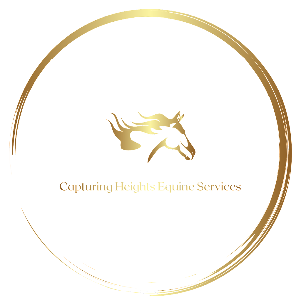 Capturing Heights Equine Services | 21211 Burwell Rd, Mount Brydges, ON N0L 1W0, Canada | Phone: (548) 883-2316