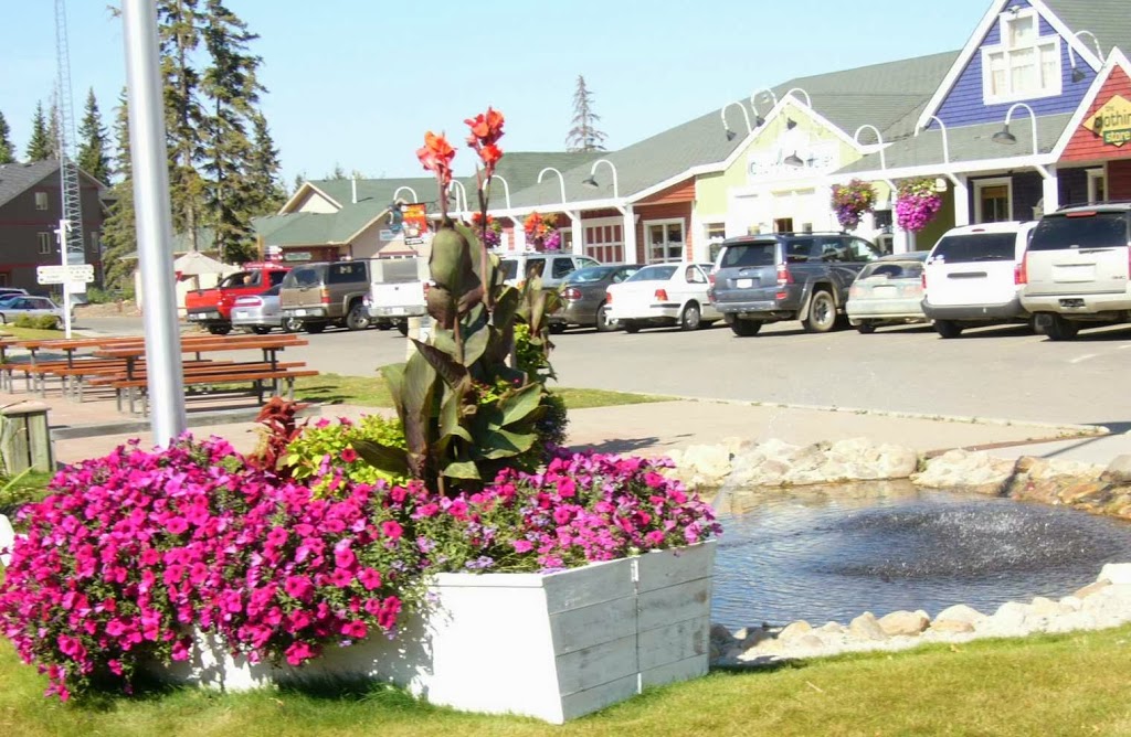 The Village At Pigeon Lake | 6B Village Dr, Westerose, AB T0C 2V0, Canada | Phone: (780) 586-2332