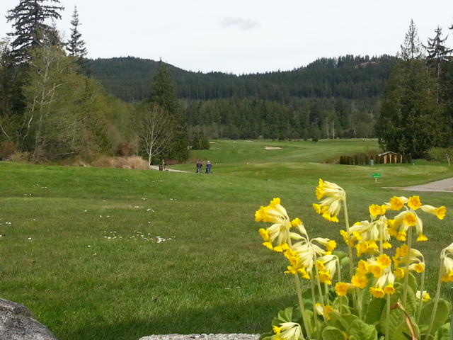 Myrtle Point Golf Club | 2865 McCausland Rd, Powell River, BC V8A 0S2, Canada | Phone: (604) 487-4653