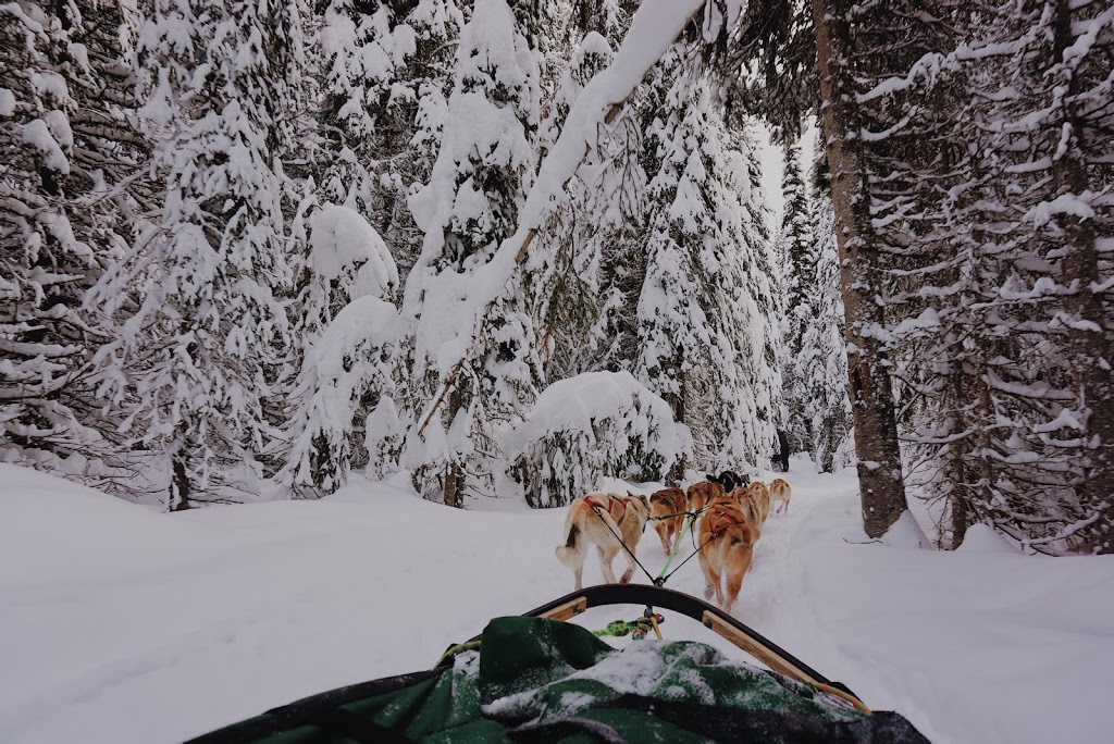 Mountain Man Dog Sled Adventures | 3250 Village Way, Sun Peaks, BC V0E 5N0, Canada | Phone: (250) 319-7205