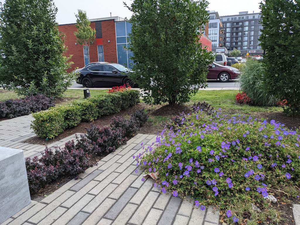 Delvida Daoust Park | 2315 Chem. Lucerne, Mont-Royal, QC H3R 2J6, Canada | Phone: (514) 872-0311