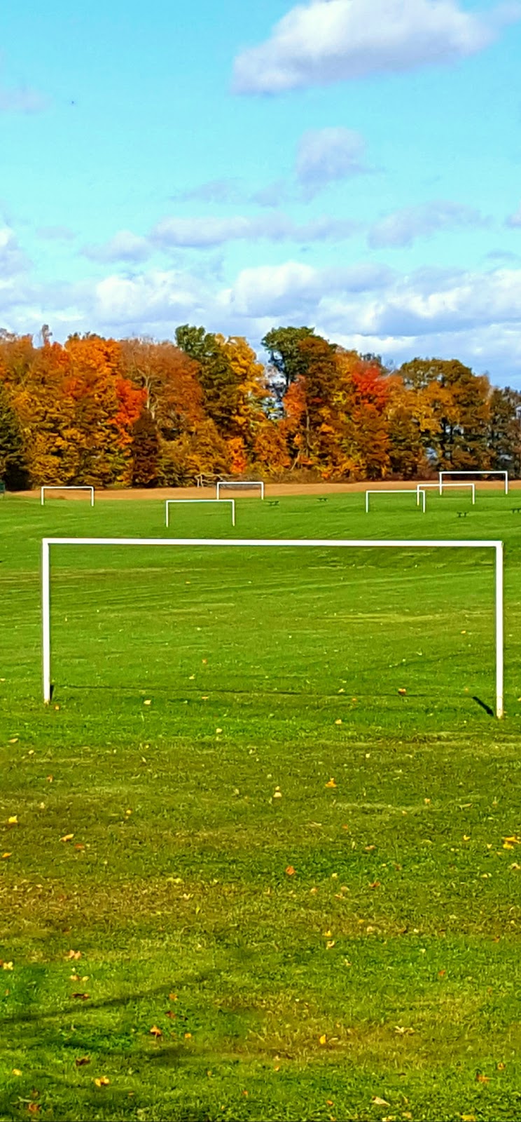 Caledonia Soccer Complex | 62 McClung Rd, Caledonia, ON N3W 1V6, Canada | Phone: (905) 928-0330