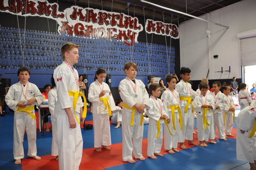 Global Martial Arts Academy | 1200 Stone Church Rd E, Hamilton, ON L8W 2C7, Canada | Phone: (905) 389-2222