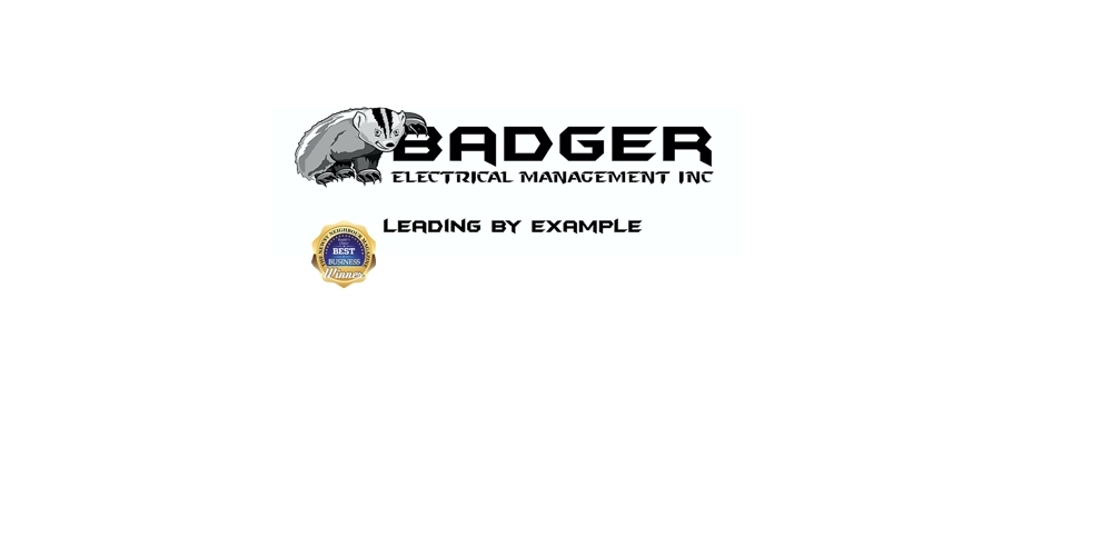 Badger Electrical Management | 248191 562 Ave E, Blackie, AB T0L 0J0, Canada | Phone: (403) 901-4945