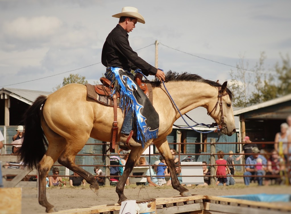 Bar JL Horse Training | 211 2 St W, Cardston, AB T0K 0K0, Canada | Phone: (780) 300-7507