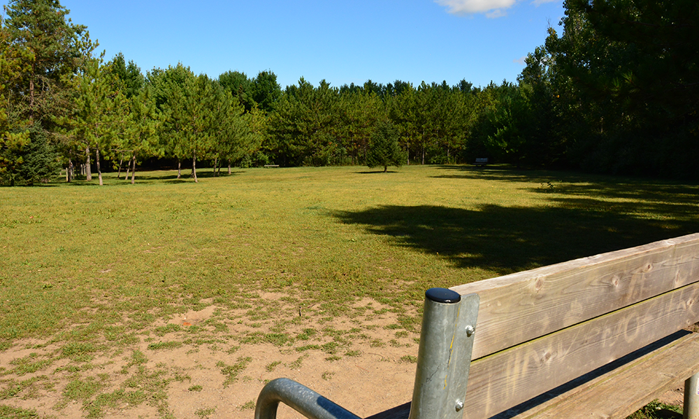 Scanlon Creek Bark Park | Bradford West Gwillimbury, ON L0G 1R0, Canada | Phone: (905) 775-5366 ext. 1702