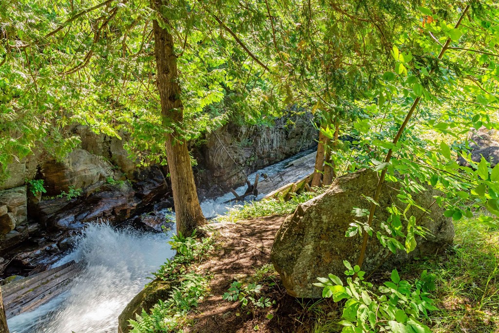 Crests Of Kennisis Trailhead | Algonquin Highlands, ON K0M 1J2, Canada | Phone: (705) 766-9033