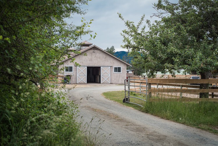 Horse Wisdom Farm | 6924 W Saanich Rd, Brentwood Bay, BC V8M 1G8, Canada | Phone: (250) 208-4874