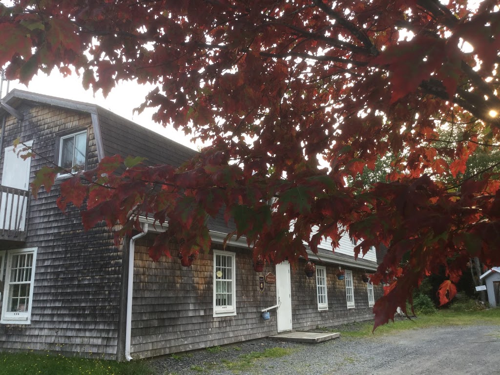 Domaine des Sportifs Ste-Aurélie | 111 11e Rang, Sainte-Aurélie, QC G0M 1M0, Canada | Phone: (418) 593-5806