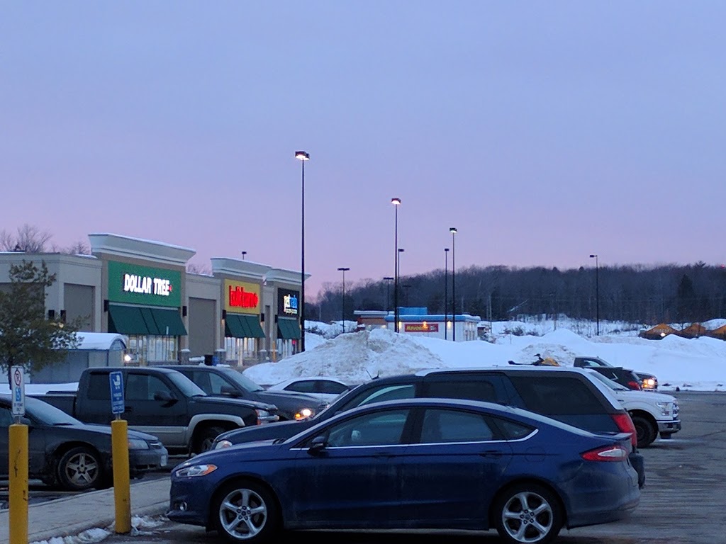 Dollar Tree | 32 Depot Drive Units 1 & 2, Bracebridge, ON P1L 0A1, Canada | Phone: (705) 645-9148