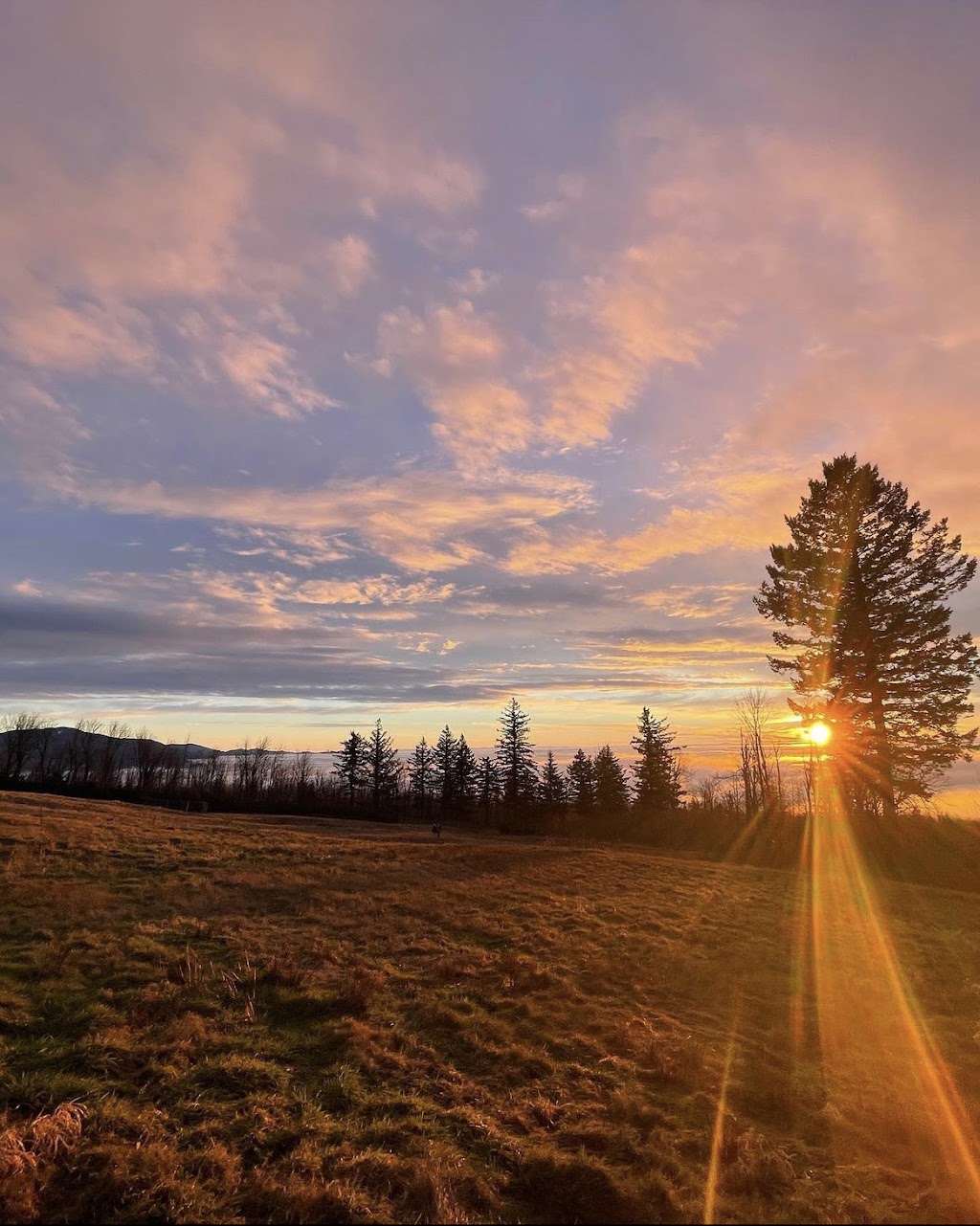 Sunset Swing | Harvest Drive, Abbotsford, BC V3G 1L2, Canada | Phone: (604) 854-0246