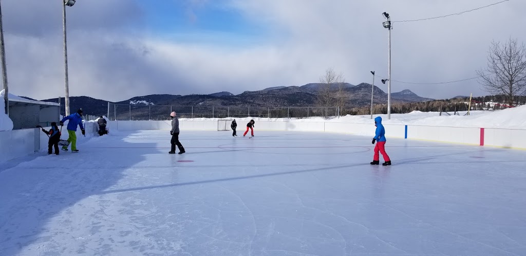 Patinoire municipale extérieure | 2387 Route du Fleuve, Les Éboulements, QC G0A 2M0, Canada | Phone: (418) 635-1026