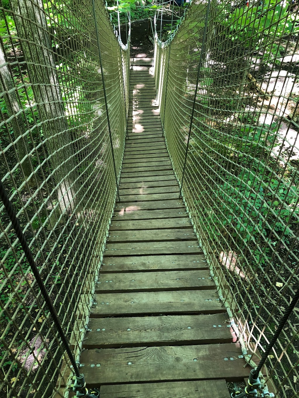 Treetop Trekking Stouffville | 3291 Stouffville Rd, Whitchurch-Stouffville, ON L4A 7X5, Canada | Phone: (844) 369-0009