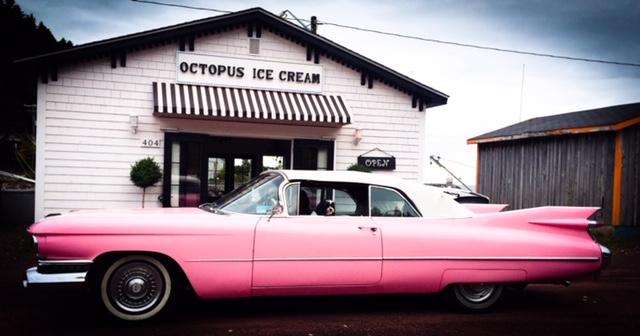 Octopus Ice Cream | 404 Main St, St. Martins, NB E5R 1B3, Canada | Phone: (416) 877-3817