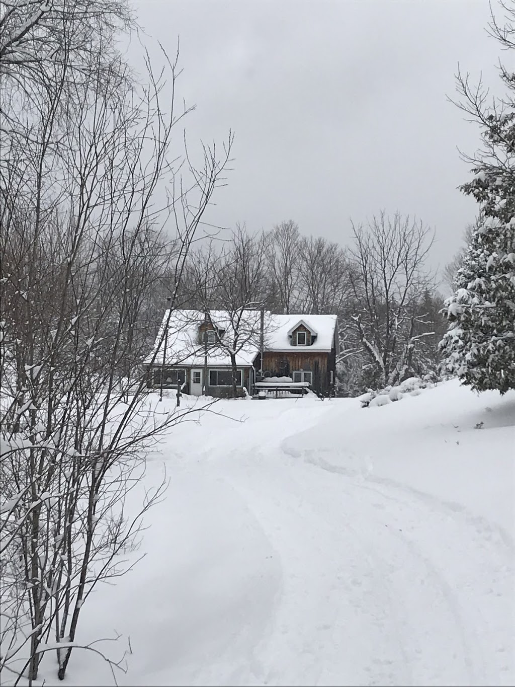 Wilkins Farm | 48 Wilkins Ln, Greater Madawaska, ON K7V 3Z9, Canada | Phone: (613) 859-6962