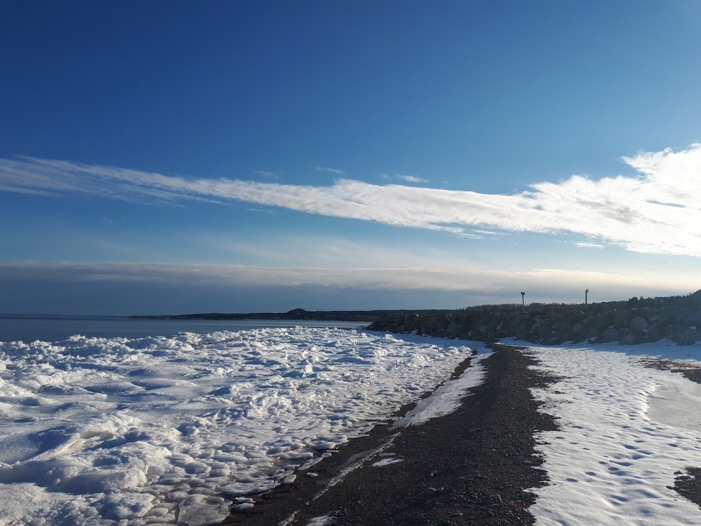 Ballantynes Cove Bluefin Tuna Interpretive Centre | 57 Ballantynes Cove Wharf Rd, Antigonish, NS B2G 2L2, Canada | Phone: (902) 863-8162