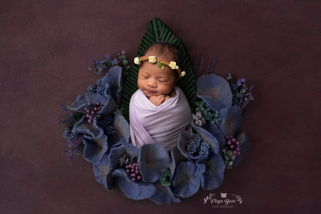 Freya Bear Photography | 20-8968 208 St, Langley City, BC V1M 4C5, Canada | Phone: (778) 929-0800