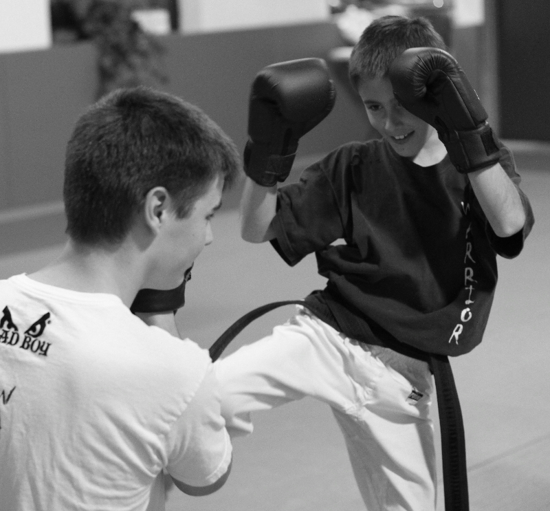 Warrior Mixed Martial Arts | 18075 Leslie St, Newmarket, ON L3Y 9A4, Canada | Phone: (905) 830-1711