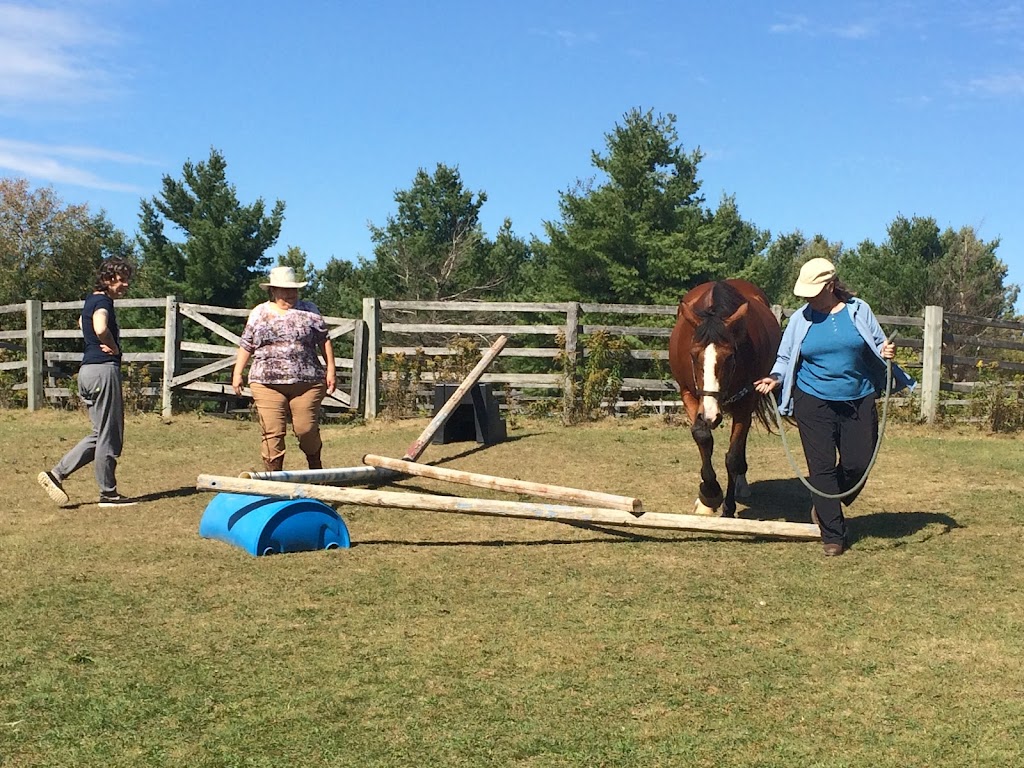 The Equine Connection Therapeutic Riding & Learning Centre | Private farm, Caledon Village, ON L7K 2B2, Canada | Phone: (647) 237-3485