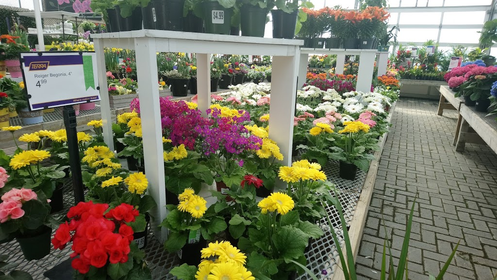 Terra Greenhouses Vaughan | 11800 Keele St, Maple, ON L6A 1S1, Canada | Phone: (905) 832-6955