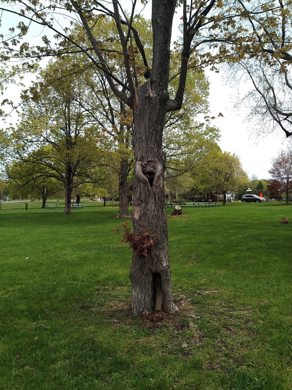 Riverside Park | Carleton Place, ON K7C 3V5, Canada