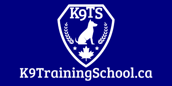 K9 Training School | 8950 Victoria St, Metcalfe, ON K0A 2P0, Canada | Phone: (613) 762-4584