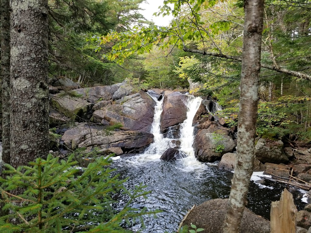 Pockwock Falls Trailhead | 1366 Pockwock Rd, Upper Hammonds Plains, NS B4B 1P2, Canada