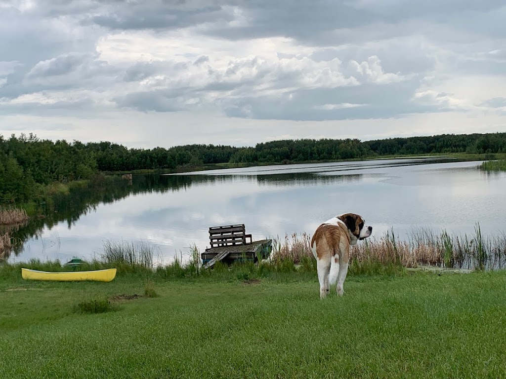 Labyrinth Lake Lodge | 224041A, Township Rd 481, Gwynne, AB T0C 1L0, Canada | Phone: (780) 905-9827