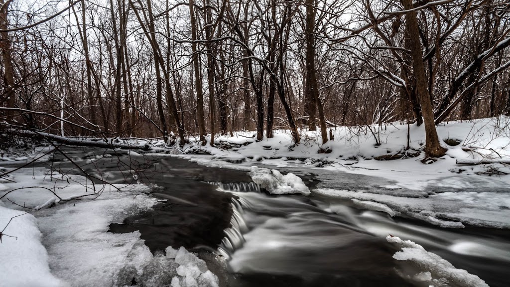 Ruisseau-De Montigny Nature Park | Anjou, QC H1J 2Y2, Canada | Phone: (514) 872-3434